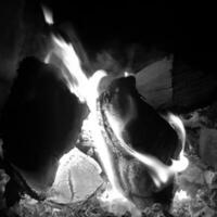 schöne flamme braunes holz dunkle schwarze kohle auf hellgelbem feuer im metallbecken foto