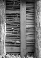 Fotografie auf Thema groß Mauer von gestapelt Eiche Baum foto