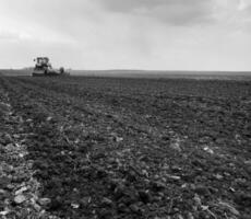 gepflügt Feld durch Traktor im schwarz Boden auf öffnen Landschaft Natur foto