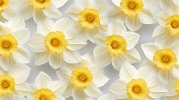 Narzisse Blume gemustert Hintergrund. Blume Textur Hintergrund. generativ ai foto