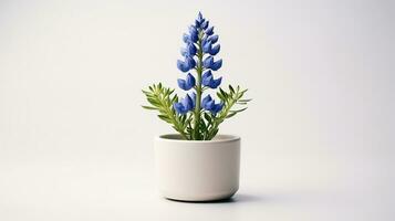 Foto von Bluebonnet Blume im Topf isoliert auf Weiß Hintergrund. generativ ai