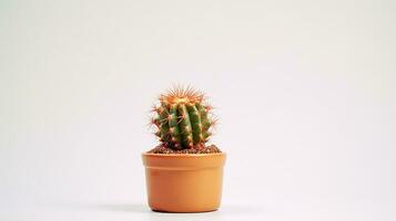 Foto von Kaktus Blume Blume isoliert auf Weiß Hintergrund. generativ ai