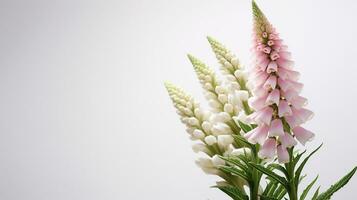 Foto von schön Digitalis Blume isoliert auf Weiß Hintergrund. generativ ai