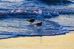 Sonnenuntergang am Playa del Rosarito - Rosarito Strand, Mexiko 2019 foto