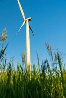 Blick auf die Windmühle während des Sommertages foto