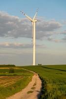 Blick auf die Windmühle während des Sommertages foto