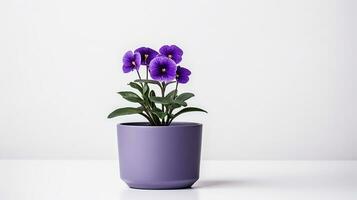 Foto von violett Blume im Topf isoliert auf Weiß Hintergrund. generativ ai