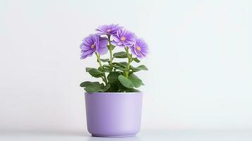 Foto von violett Blume im Topf isoliert auf Weiß Hintergrund. generativ ai