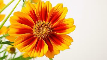 Foto von schön Coreopsis Blume isoliert auf Weiß Hintergrund. generativ ai