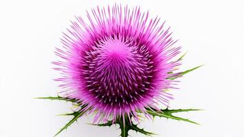 Foto von schön Distel Blume isoliert auf Weiß Hintergrund. generativ ai