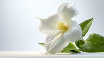 Foto von schön Trillium Blume isoliert auf Weiß Hintergrund. generativ ai