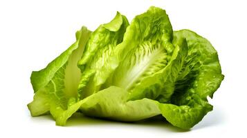 Foto von frisch Grüner Salat isoliert auf Weiß Hintergrund. generativ ai