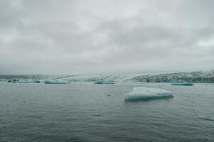 Eisberge im Jökulsarlon, ein Gletscher See im Island foto