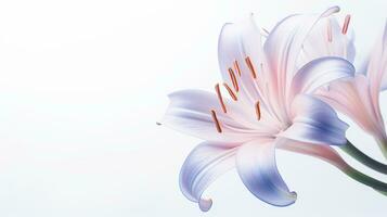 Foto von schön Fee Lilie Blume isoliert auf Weiß Hintergrund. generativ ai