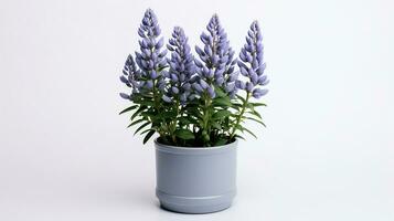 Foto von Lupine Blume im Topf isoliert auf Weiß Hintergrund. generativ ai