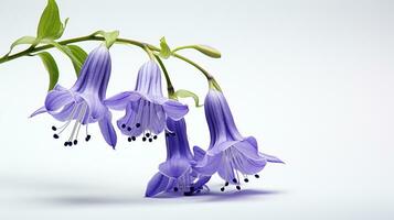 Foto von schön Virginia Glockenblume Blume isoliert auf Weiß Hintergrund. generativ ai