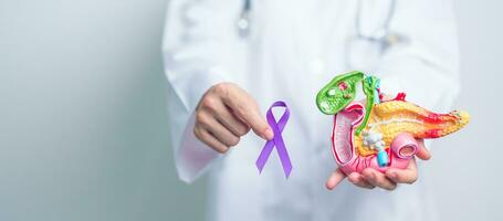 Arzt halten lila Band mit Mensch Pankreas Modell- zum Unterstützung Bauchspeicheldrüse Krebs November Bewusstsein Monat, Pankreatitis, Verdauungs- System, Welt Krebs Tag und Gesundheit Konzept foto