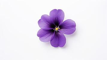Foto von schön violett Blume isoliert auf Weiß Hintergrund. generativ ai