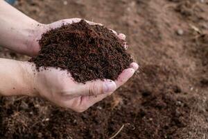 Hand halten fruchtbar schwarz Boden. Landwirtschaft, organisch Gartenarbeit, Pflanzen oder Ökologie Konzept. Umwelt, Erde Tag. Banner. oben Sicht. Kopieren Raum. Farmer Überprüfung Vor Aussaat foto