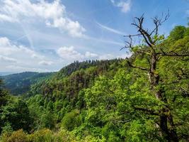 atemberaubende landschaften der vogesen in frankreich foto