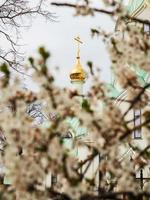 Frühling in Straßburg, Frankreich foto