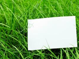 leer Papier auf Grün Gras Hintergrund foto