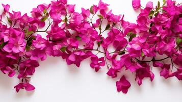 Bougainvillea Blume Muster Hintergrund. Blume Hintergrund Textur. generativ ai foto