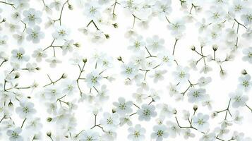 Gypsophila Blume gemustert Hintergrund. Blume Textur Hintergrund. generativ ai foto