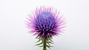 Foto von schön Distel Blume isoliert auf Weiß Hintergrund. generativ ai