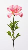 Foto von schön Gladiole Blume isoliert auf Weiß Hintergrund. generativ ai