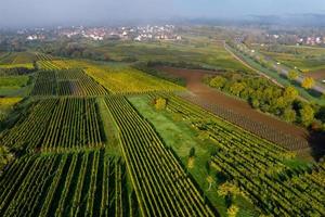 eine Drohnenansicht der Vogesenausläufer, Frankreich foto