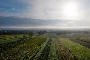 eine Drohnenansicht der Vogesenausläufer, Frankreich foto