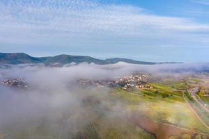 Weinberge im Vorland der Vogesen, Frankreich foto