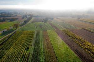 Weinberge im Vorland der Vogesen, Frankreich foto