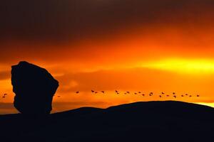 schöner Sonnenuntergang mit Vögeln foto