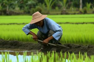 indonesisch Mann Arbeit wie Farmer foto