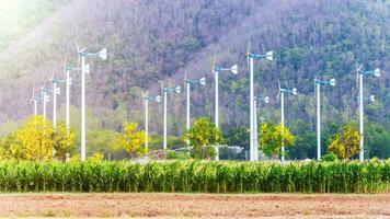 Gruppe Windmühle im das Feld Mais Bauernhof foto