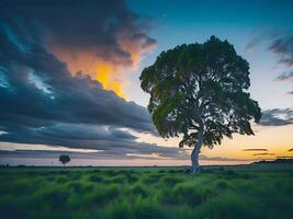 kostenlos Foto breit Winkel Schuss von ein Single Baum wachsend unter ein bewölkt Himmel während ein Sonnenuntergang umgeben durch Gras ai generativ