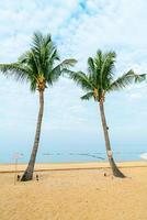 Palme am Strand mit Meereshintergrund und bewölktem Himmel foto