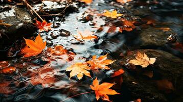 reflektierend Herbst regengeküsst Ahorn Blätter generativ ai foto
