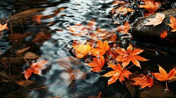 beschwingt Orange Ahorn Blätter im Regenwasser generativ ai foto