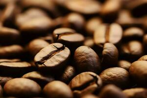 Nahansicht Aussicht von Kaffee Bohnen oder Kaffee Samen. foto