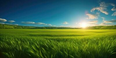 beschwingt Sommer- Landschaft mit üppig Grün Gras Feld und Blau Himmel foto