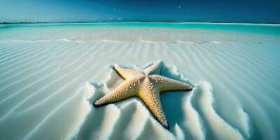 glitzernd Seestern auf ein schön Malediven Strand foto