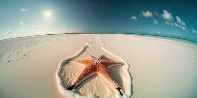 glitzernd Seestern auf ein schön Malediven Strand foto