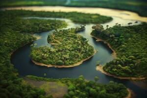 entdecken das Schönheit von das Amazonas Regenwald im Süd Amerika foto