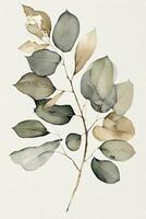 elegant Aquarell Gemälde von ein Beige und Salbei Eukalyptus Blatt foto