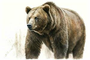 anmutig Grizzly Bär im Aquarell und Bleistift Illustration foto