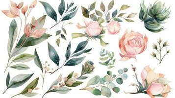 Grün und Rosa Aquarell Blumen- Illustration Elemente einstellen foto