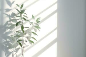 minimalistisch abstrakt Hintergrund mit verschwommen Schatten von Blätter und Pflanzen auf Weiß Mauer foto
